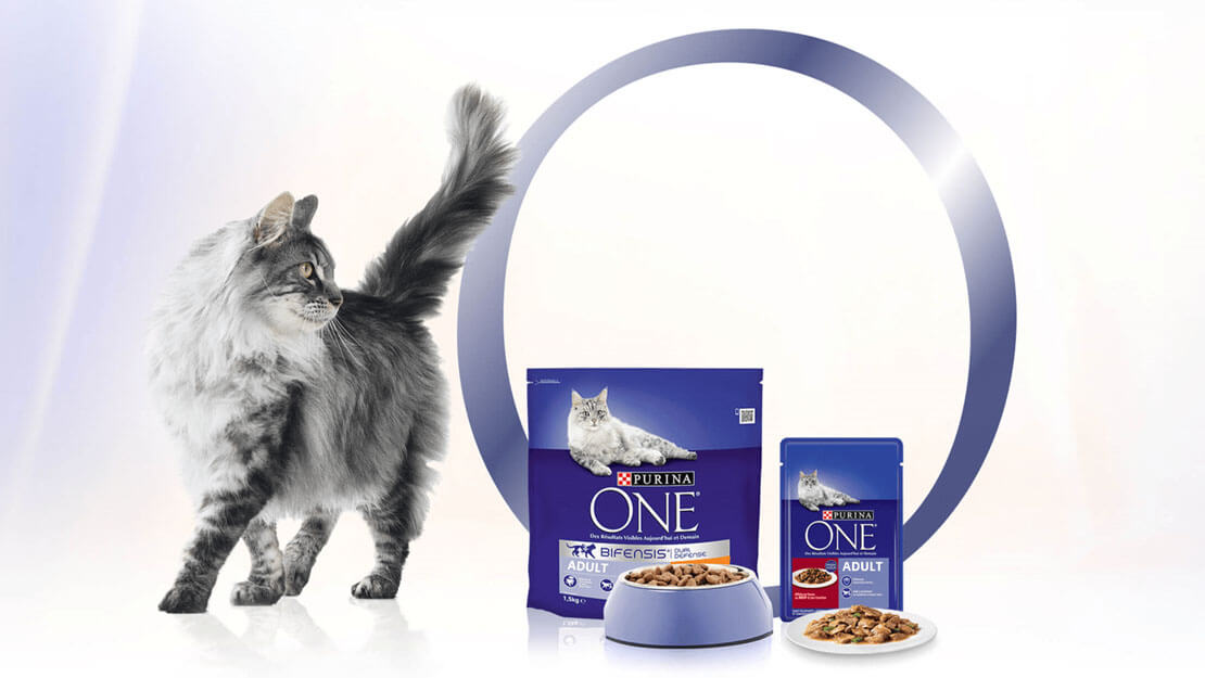 Purina 2024 one dental